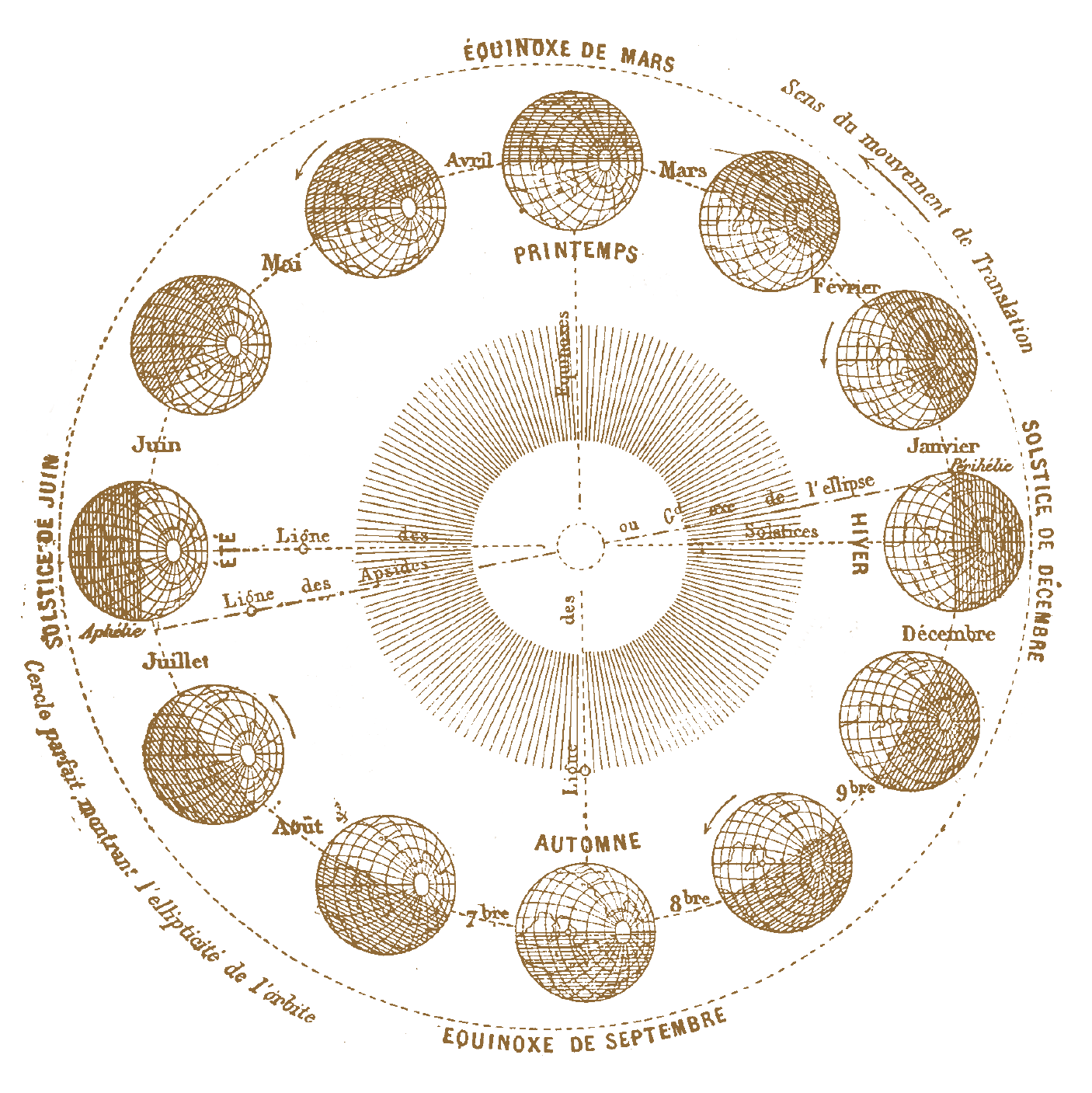 Astronomical diagram of the seasons