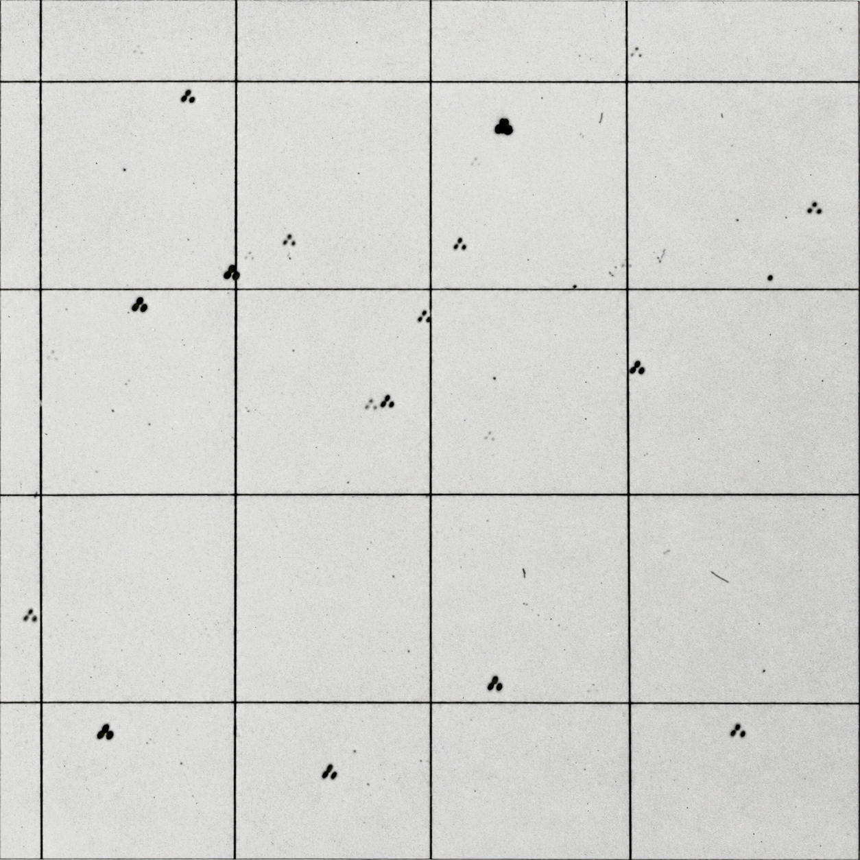 Triple-exposure photographic plate