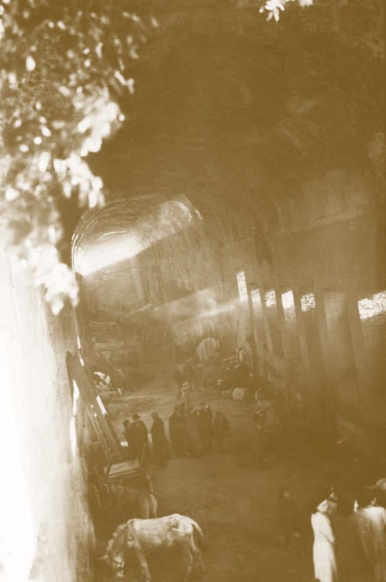 Animals and refugees sheltering in the Cryptoportico in the winter of 1944